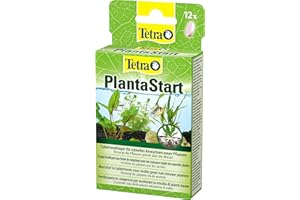 Tetra PlantaStart compresse di fertilizzante (per piante acquatiche in acquario, favorisce la formazione delle radici, ottima per piantine o reimpianti), 12 compresse