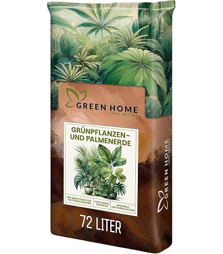 polypody plant Polypodium vulgare – The Garden Corner main image 1