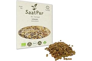 SAATZUCHT BARDOWICK 1Kg BIO Keimsprossen LINSEN Keimsaat Sprossensaat Keimling Microgreens Grünkraut Sprossenzucht Sprossen