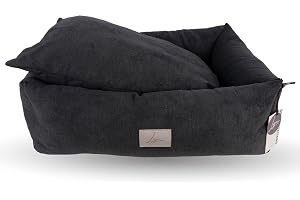 Soft Charcoal