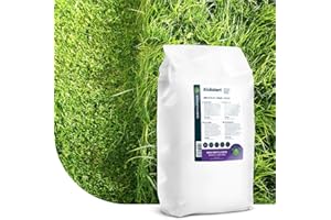 MRS SEEDS & MIXTURES Kickstart : engrais pour gazon printemps et été - 20 kg : 500 m² - pelouse verte - NPK + micronutriments - fertilisant granulé