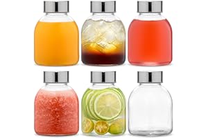 Danmu Art Glass Bottles with Lids 6 Pack - Glass Juice Water Bottles with Stainless Steel Airtight Leakproof Lids - Reusable Empty kombucha (250ml)