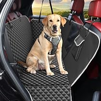 ITATI Travel Mate – Coprisedile Auto Per Sedile Posteriore 1 Pezzo – Simpatico Design Funny Dog, Elastico, Compatibile Con Airbag
