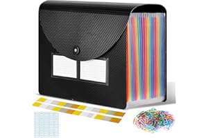 CHILLSILA Cartella Portadocumenti A4, Porta Documenti Espandibile 24 Tasche, Portatile Fisarmonica Organizzatore per Casa Scuola Ufficio Viaggio (con Coperchio) (B_Nero)