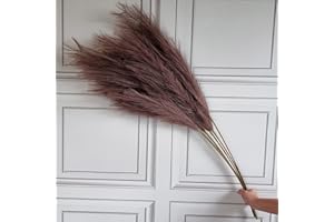 HOMESTREET Single Faux Pampas Grass Stem, Tall 115cm Long Fluffy Artificial Colourful Pampas Grass Dried Flower Style Decor (Dark Brown)