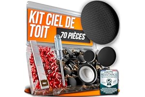 ASSURE AURA 70 Pièces Kit Réparation Ciel de Toit Voiture Noir – Punaises Tissu Intérieur Auto + Outils Inclus – Agrafes + Tournevis + Ruban – Solution Complète pour Plafond Voiture Affaissé