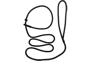 DOGS and MORE - PatchArt-Leine (Schwarz) - Leine und Halsband in EINEM; Retrieverleine in Sieben Farben