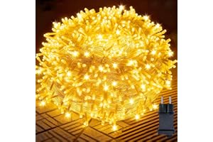 Utomhusljusslinga, 100 m, 800 LED, varmvit, 8 lägen med 31 V-7,2 W uttag