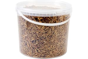 HUNGRY WINGS Wild Bird Food 5L Tub (5L Tub, Calci Worms)