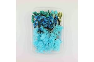 HanYun Dried Flowers Pressed Flowers Decorative Artificial Flowers Dried Flowers for Crafts Dried flowers for resin for crafts decoration, DIY resin dried flowers, henna piece art diy (Blue)