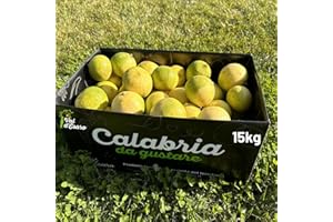 Bergamotto Fresco di Reggio Calabria - Agrume fresco 100% Naturale - Buccia edibile non trattata- Val D'Esaro (Box da 15 Kg)
