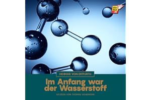 Im Anfang war der Wasserstoff