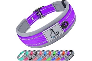 Joytale Reflective Dog Collar Medium | Ultra Comfy Soft Neoprene Padded | Heavy Duty Metal Belt Buckle, Purple