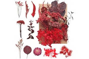 DISNACE Flores Secas Mezcladas Prensadas Reales para Resina y Artesanías (Rojo)