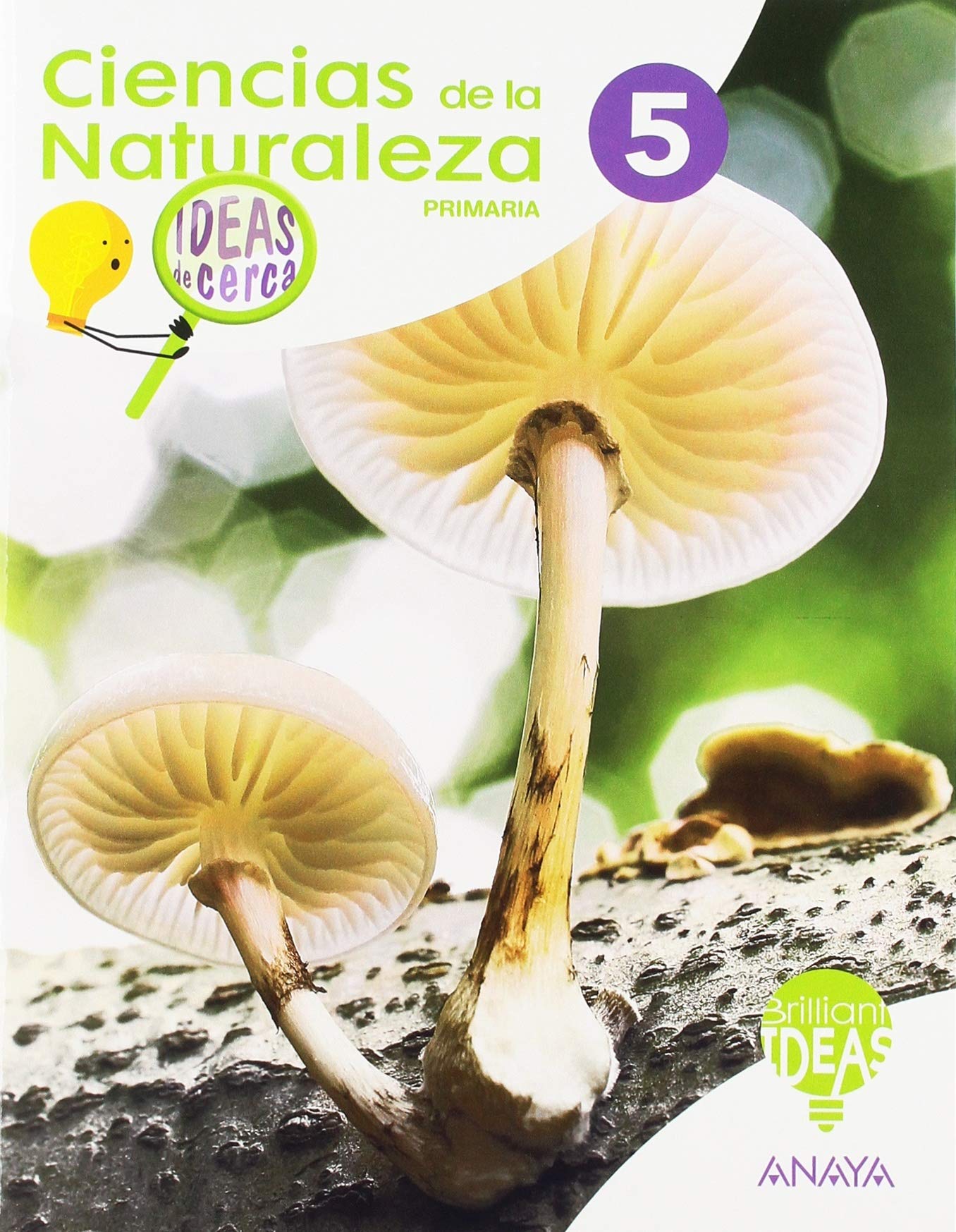 Ciencias de la Naturaleza 5. Ideas de cerca