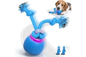 FUGODIWI Interactive Dog Toys Ball, Moving Dog Toy for Boredom, Automatic Rolling Ball, Motion Activated Automatic Toys for Puppy/Small/Medium Dogs, USB Charging, Birthday for Dogs (Blue)
