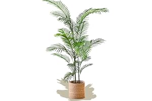 Maia Shop Palma artificiale, ideale per la decorazione della casa o dell'ufficio, pianta artificiale (180 cm)