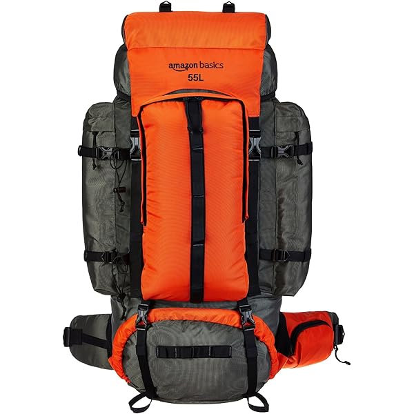 Buy JANSPORT Big Student 34 L Backpack (Neon Cherries) at Amazon.in Buy JANSPORT Big Student 34 L Backpack (Neon Cherries) at Amazon.in