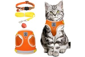 LFBEST Verstellbar Reflektierend Katzen Geschirr Set mit Leine,Orange Katzengeschirr Ausbruchsicher mit Katzenleine,Katzen Geschirrset Enthalten Halsbänder Leine und Brustgeschirr (S)