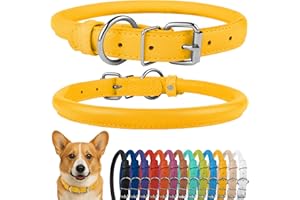 CollarDirect Zwijana Skórzana Obroża dla Psa, Miękka, Wyściełana, Okrągła, Ręcznie Wykonana z Prawdziwej Skóry, dla Małych i Dużych Kotów, Czarna, Różowa, Czerwona