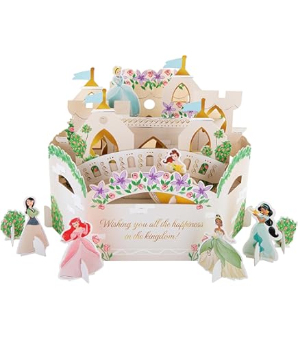 Hallmark Signature Blank Card (Disney Princess Dresses) : Amazon.co.uk:  Books