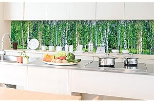 DIMEX LINE Paraschizzi auto-adesiva per la cucina BETULLA BOSCHETTO 350 x 60 cm | Resistente all’acqua | QUALITA‘ PREMIUM