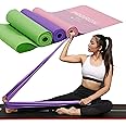 PROIRON 2 in 1 Resistance Bands Set - Includes Resistance Loop Bands, Physical Therapy Bands for Home Fitness, Stretching, Strength Training, Physical Therapy,Elastic Workout Bands for Whole Body