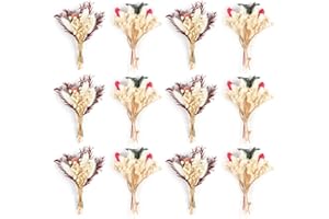 Larber 12pcs Mini Flores Secas Ramos De Flores Silvestres Secas Flores Secas Mini con Tallos DIY Foto Accesorios Jarrón Decoración De Boda