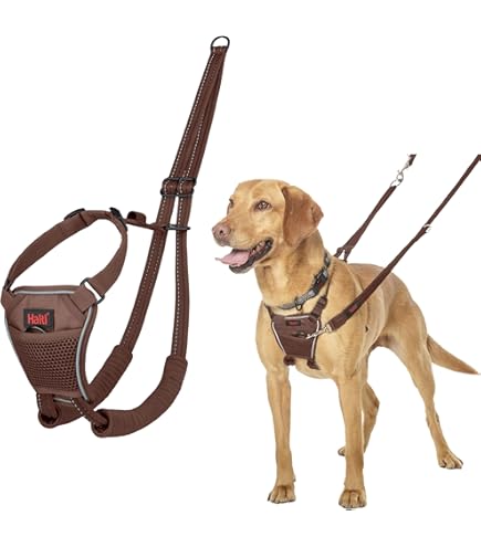 Elastische Hondenriem tegen Trekken – Grote Hond – 150/200cm – Zwart