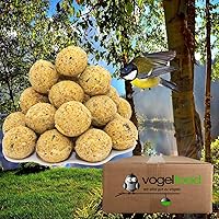 200 Stück ohne Netz Meisenknödel 4 Jahrenszeiten Vogelfutter Wildvogelfutter Ganzjahresfutter Versand mit DHL