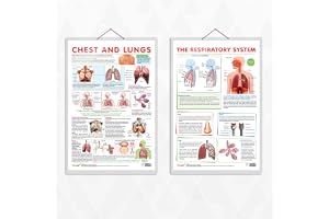 GO WOO THE RESPIRATORY SYSTEM chart and CHEST AND LUNGS chart | combo of 2 Chart | Respiratory Health: Exploring the Respiratory System and Chest & Lungs