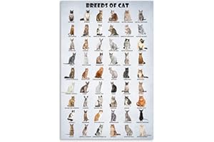 HLLNWB Poster Cat of the World mit Katzenmotiven, 30,5 x 45,7 cm