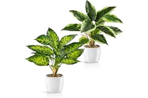 ‎PASCH PASCH® Kunstpflanzen wie echt in edlen Keramiktöpfen (38cm) | Künstliche Pflanzen wie echt | Kunstpflanze groß | Fake Plant Kunstpflanzen | Kunstblumen im Topf