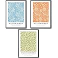 William Morris Set of 3 Art Prints - Marigold, Willow Bough, Wild Tulip - Famous Artist Pictures - Stylish Gallery Wall Art - Variety of Sizes (Set 1, A4 Print Only)