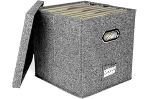 LEMBRD Vinyl Record Storage Box for up to 50+ 12 Inch Albums, Vinyl Record Storage Bag with Lids & Handles, Stylish and Practical Vinyl Storage Case, Portable Record Organizer for Collecting Valuable Album