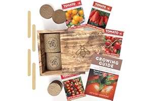 THE LITTLE TREES BEES & SEEDS COMPANY Grow Your Own Tomatoes Box - 4 Heirloom Seed Varieties Included in This Grow Your Own Tomato Kit – Complete with Growing Pots and Soil – Great Gift for Father’s Day, Birthday, Christmas