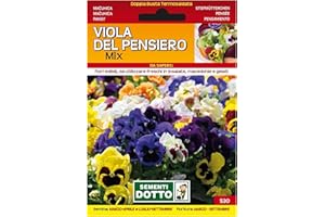 SICIGNANO CASALINGHI INGROSSO CASALINGHI ARREDO GIARDINO HOTELLERIE Sicignano | Semi Viola del Pensiero in Miscuglio Mix, Fiori Colorati Compatti, Pianta Annuale-Biennale, Busta Extra - 1 Confezione da 0.23g, Adatta a Pieno Sole