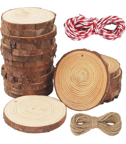 CYEER 12 stuks houten schijven om te knutselen, 12-14 cm, boomschijven, ronde houten schijven, decoratie, houten schijf, boomschijf, houten plaat, rond, voor doe-het-zelf handwerk, houten schijven