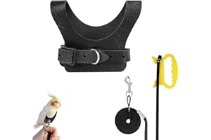 CAIRIAC Avianweb Rider Harness, Leash for Cockatiels, Outdoor Adventures, Rider Bird Harness (Black, M, 1pcs)