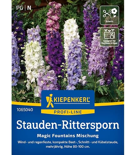 Kiepenkerl Lupinensamen Gartenzwerg Mischung – Kompakte Staude Für Beet & Kübel