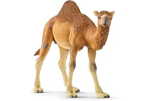 schleich WILD LIFE | Dromedar 14832 | detailgetreue Tierfiguren | Zoo Spielzeug | tolles Geschenk für Jungen und Mädchen | Deko für Geburtstag | Spielfigur ab 3 Jahren | 14 x 4 x 10 cm