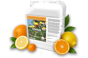 CULTIVERS Bio-Zitrusdünger Flüssig 1 L NPK Eisen Zink Kupfer Mangan Molybdän Bor + 6% Aminosäuren. Organischer Dünger für Zitronenbaum, Orangenbaum, Mandarine, Grapefruit – Für größere
