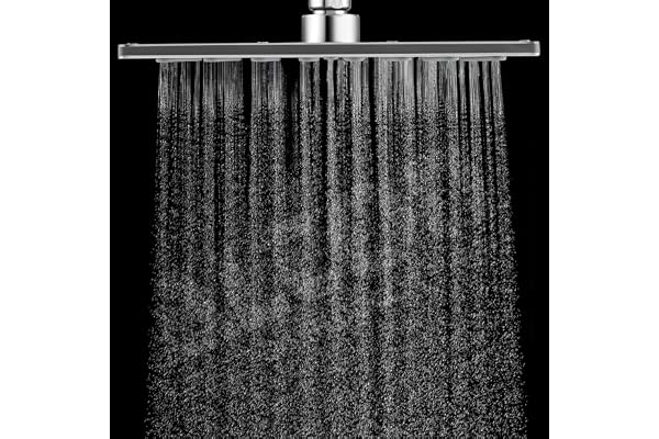 ALTON SHR22160, Stainless Steel, 8x8 INCH Rain Overhead Shower, Without Arm, Silver