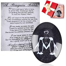 Portachiavi Coppia Pinguini 'You Are My Penguin' In Acciaio Inox. Regalo Romantico Per Fidanzato, Fidanzata, Marito, Moglie. Per San Valentino, Natale, Anniversario.