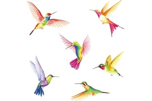 BASHOM DECOWALL DS2-4002 Colibrì Adesivi murali per bambini Decalcomanie Buccia e bastone Rimovibili per camerette Camera da letto Soggiorno Decorazioni murali artistiche