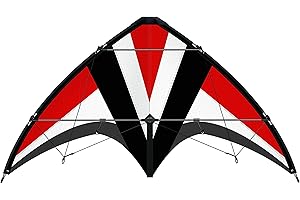 GÜNTHER FLUGSPIELE Paul Günther 1031 - Sportowy latawiec sterujący Whisper 125 GX, latawiec dla początkujących, ze szpulami sterującymi i sznurkiem, ok. 125 x 54 cm duży