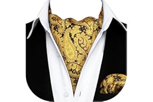 HISDERN Ascot Men's and Clutch Set Paisley Floral Ascot for Men Elegant Scarf Men Silk Handkerchief Tie Ascot for Formal Wedding