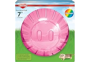 KAYTEE Superpet Rainbow Run-About Ball, 7-inch