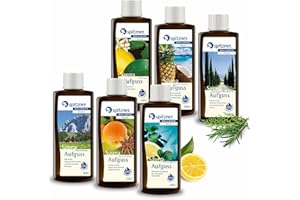 Spitzner Juego de infusión para sauna (6 x 190 ml)