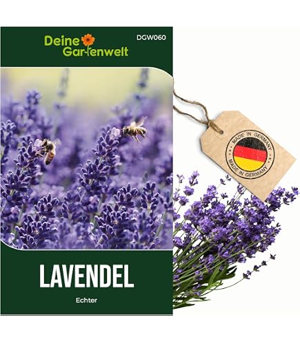 Steingarten - Mischung, Steingartenstauden, Saatgut, Smereien, ca. 50  Samen : Amazon.de: Garten